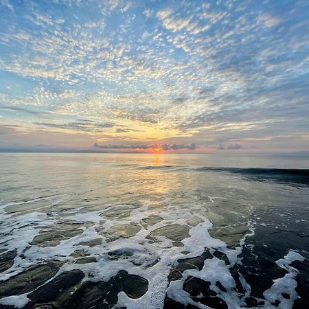 Nereus Otel Puerto Jiménez Dış mekan fotoğraf